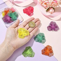 12 шт. 6-х цветные колпачки из нержавеющей стали 430&nbsp;STAS-CJ0002-54