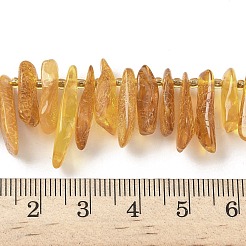 Янтарные шарики нити&nbsp;G-L095-D01-05