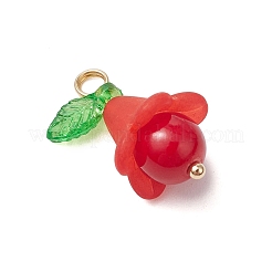 Colgantes de jade mashan natural&nbsp;PALLOY-JF03404-01