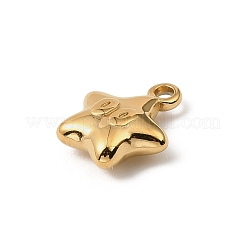 Подвески из нержавеющей стали 304&nbsp;LS-STAS-F327-03E-G