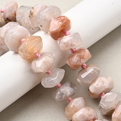 Натуральные вишневые агатовые бусины&nbsp;G-K195-04A