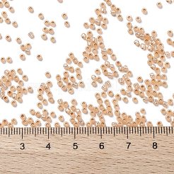 Toho 11/0 runde Perlen&nbsp;X-SEED-TR11-PF2111