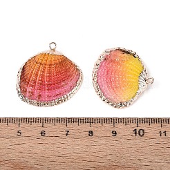 Подвески с краской и гальваникой из натуральных морских раковин&nbsp;SSHEL-N042-16D