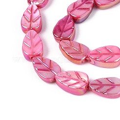 Colliers de perles sculptées en coquillage d'eau douce naturelle&nbsp;SHEL-N038-25E