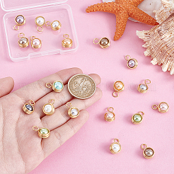 20 шт. подвески из круглой медной проволоки с ракушками и жемчугом&nbsp;PALLOY-PHE00005