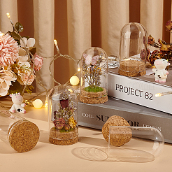 Стеклянный купол 10 шт.&nbsp;AJEW-BC0006-86