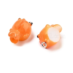 Милые подвески из непрозрачной смолы&nbsp;RESI-S020-02P