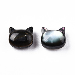Natürliche schwarze Lippe Muschelperlen&nbsp;X-SSHEL-N032-47
