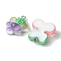 Pendentifs en résine translucide de couleur dégradée&nbsp;RESI-P039-02C
