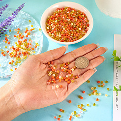 100 g undurchsichtige und transparente Innenfarben&nbsp;SEED-TA0001-12B