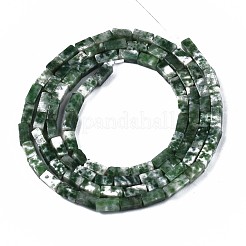 Fili di perle di diaspro spot verde naturale&nbsp;G-S299-141
