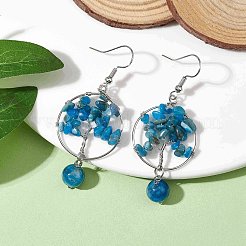 Orecchini pendenti apatite naturali&nbsp;EJEW-JE05747-04