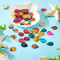 70 шт.&nbsp;BSHE-TA0001-03