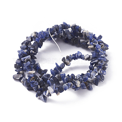 Natur Sodalith Perlen Stränge&nbsp;LS-G-G782-31