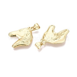 Messing Anhänger & Charms&nbsp;KK-N287-45C-G