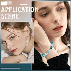 75 шт. бусины из сплава в тибетском стиле&nbsp;TIBEB-SC0001-42B