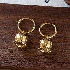 Orecchini a cerchio in ottone per le donne&nbsp;WG021FE-01