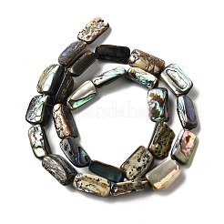 Нити бусин из натуральной раковины морского ушка/ракушки пауа&nbsp;BSHE-D300-01B