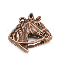 Tibetischer stil Aluminium Anhänger & Charms&nbsp;AL-CBA2376-31R