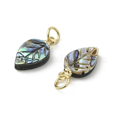 Pendentifs sculptés en nacre naturelle (paua/ormeau)&nbsp;PALLOY-JF05615-01