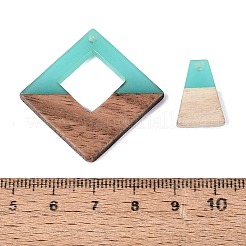 24pcs 12 estilos de resina opaca y colgantes de madera de nogal&nbsp;RESI-N053-14