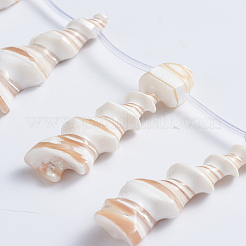 Fili di perle di conchiglia trochid naturale / trochus&nbsp;SSHEL-L016-15