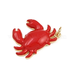 Латунные подвески с красной эмалью&nbsp;KK-C116-03B-G