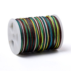 Fil de polyester teint par segment&nbsp;NWIR-I013-A-10
