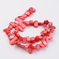 Conchiglia naturale fili di perle&nbsp;BSHE-P020-07