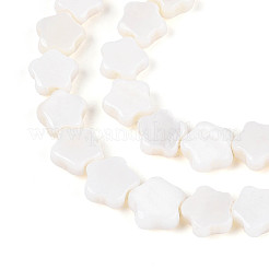 Нити бусин из натуральных пресноводных ракушек&nbsp;SHEL-N027-02-01