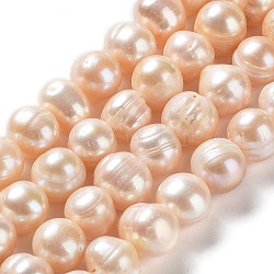 Fili di perle di perle d'acqua dolce coltivate naturali, patata, grado ab, peachpuff, 10.5~12x9~11mm, Foro: 0.6 mm, circa 34pcs/filo, 14.17'' (36 cm)