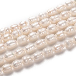 Fili di perle di perle d'acqua dolce coltivate naturali, riso, bisque, 8~10x6~7mm, Foro: 0.8 mm, circa 36pcs/filo, 13.19 pollice (33.5 cm)