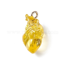 Transparent Resin Pendants, Anatomical Heart Charms, with Golden Plated Iron Loops, Yellow, 20.5~21.5x11.5x11mm, Hole: 2mm