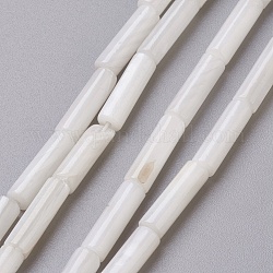 Shell perle d'acqua dolce fili, colonna, bianco, 13x4mm, Foro: 0.5~1 mm, circa 30pcs/filo, 15 pollice (38.1 cm)