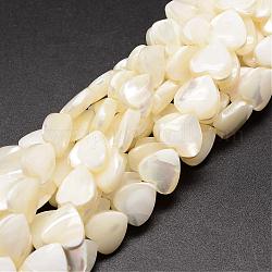 Fili di perle di conchiglia trochid naturale / trochus, cuore, bianco crema, 10x10x4mm, Foro: 1 mm, circa 42pcs/filo, 15.75 pollice