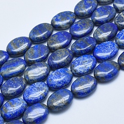 Chapelets de perles en lapis-lazuli naturel, ovale, 13~14x10~10.5x5~6mm, Trou: 1mm, Environ 29 pcs/chapelet, 15.5 pouce (39.5 cm)