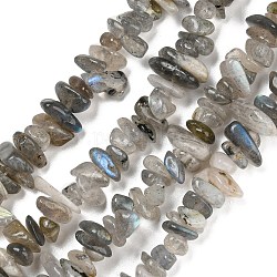 Chapelets de perles en labradorite naturelle , puce, 5~8mm, Trou: 1mm, environ 33 pouce (84 cm)