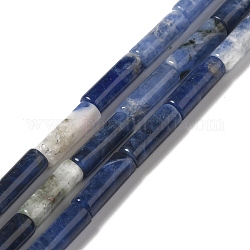 Chapelets de perles en sodalite naturelle, Tube, 12x4mm, Trou: 1.2mm, Environ 32 pcs/chapelet, 15.55'' (39.5 cm)
