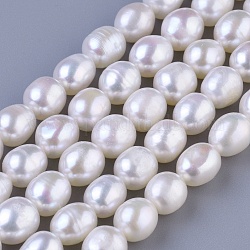 Natural Cultured Freshwater Pearl Oval Beads Strands, Beige, 7~8mm, Hole: 0.8mm, about 44pcs/strand, 14.96inch