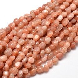 Nuggets sunstone naturelles perles brins, pierre roulée, teinte, 5~10x6~7x3~7mm, Trou: 1mm, environ 14.9 pouce ~ 15.7 pouces
