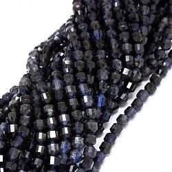 Perles naturelles Iolite brins, facette, Toupie, perles de prisme à double pointe, 5~6x6mm, Trou: 0.7mm, Environ 67 pcs/chapelet, 15.35 pouce (39 cm)