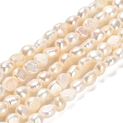 Hebras de perlas de agua dulce cultivadas naturales, aaa grado, dos lados pulidos, color de concha, 5.5~6.5x4~5mm, agujero: 0.5 mm, aproximamente 62 pcs / cadena, 14.17~14.37'' (36~36.5 cm)