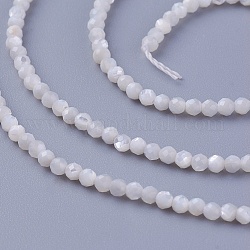 Chapelets de perles de coquillage, facette, ronde, 2~2.3mm, Trou: 0.4mm, Environ 197 pcs/chapelet, 15.55 pouce (39.5 cm)