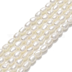 Fili di perle di perle d'acqua dolce coltivate naturali, riso, biancheria, 5~5.5x3.5~3.8mm, Foro: 0.5 mm, circa 70~71pcs/filo, 14.96'' (38 cm)