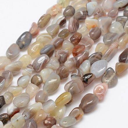 Natural Botswana Agate Beads Strands G-F521-45-1