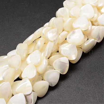 Fili di perle di conchiglia trochid naturale / trochus SSHEL-K012-05-1