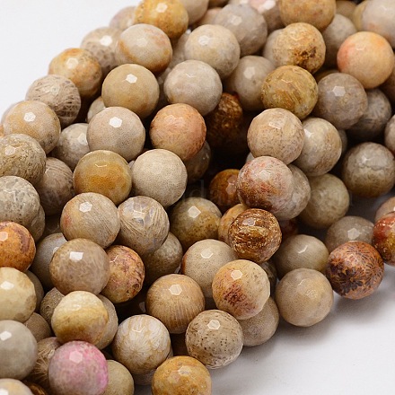Faceted Round Natural Fossil Coral Bead Strands G-L437-03-8mm-1