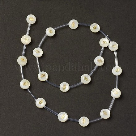 Eau douce naturelle de coquillage perles brins BSHE-B005-13G-1