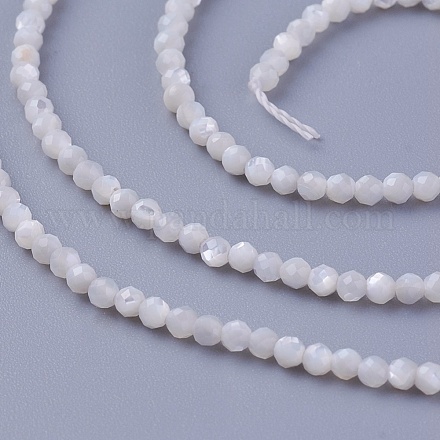 Chapelets de perles de coquillage SSHEL-E571-38-2mm-1