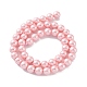 Chapelets de perles en coquille BSHE-L025-06-8mm-8